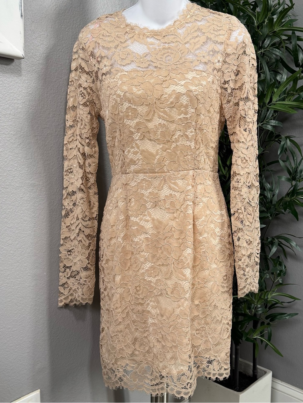 Women's Lace Long-Sleeve Sheath Dress in Nude